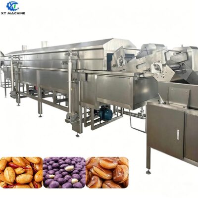 Continuous Frying Machine